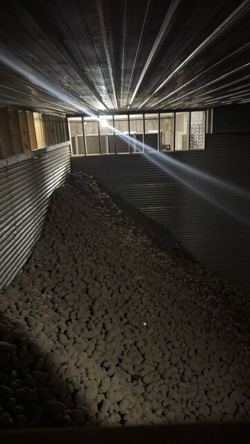 Potatoes