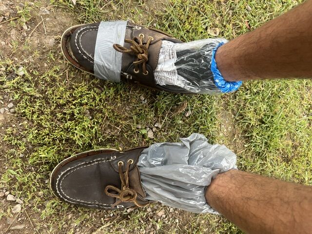 Shoes