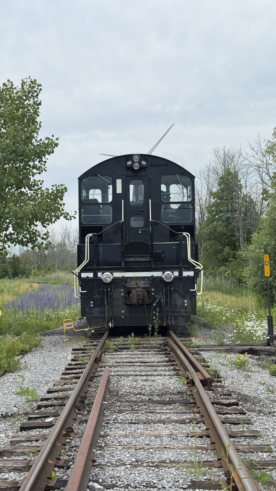 Train