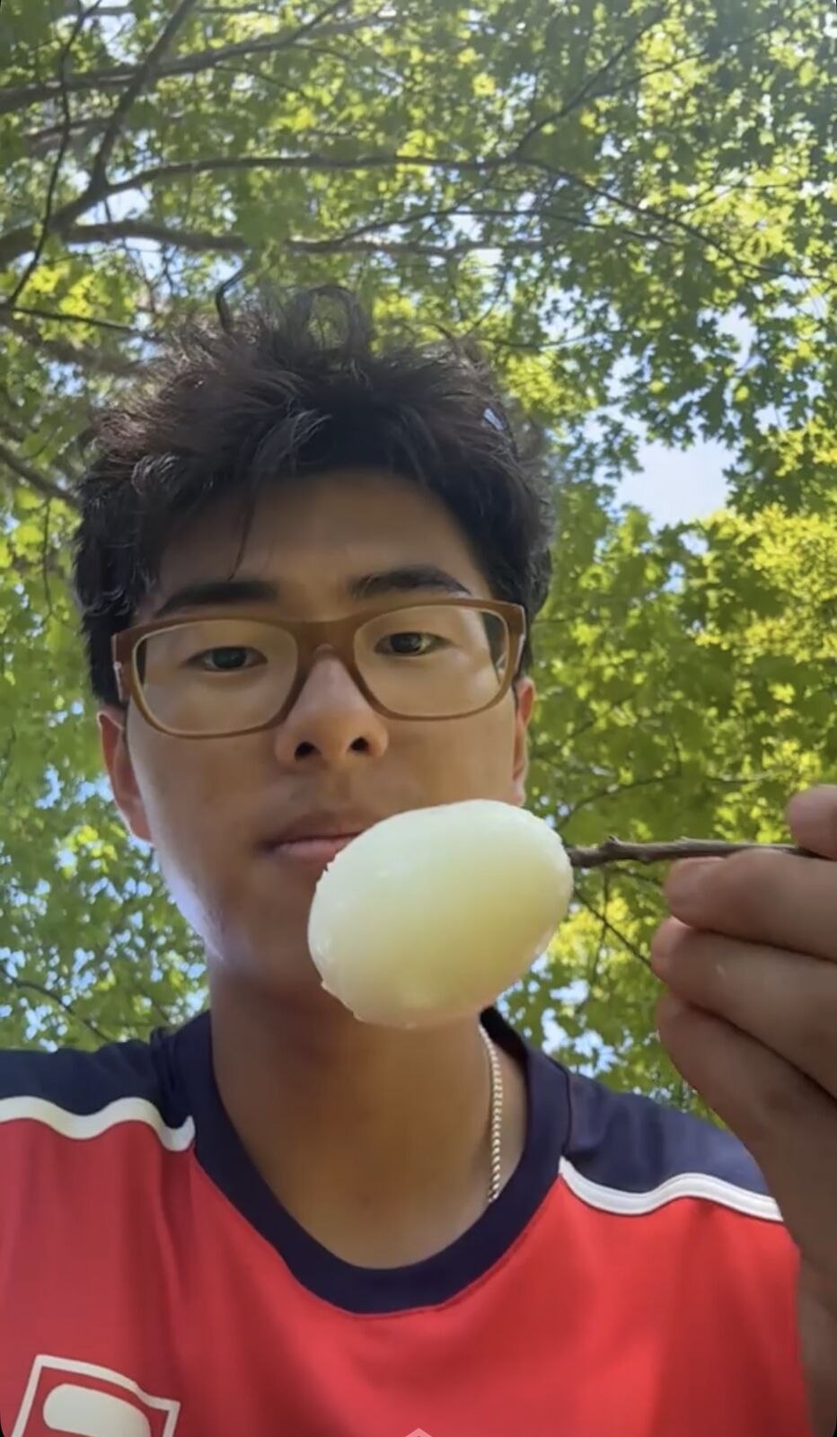 Egg